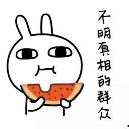 娱乐吃瓜酱语法,吃瓜群众揭秘幕后真相